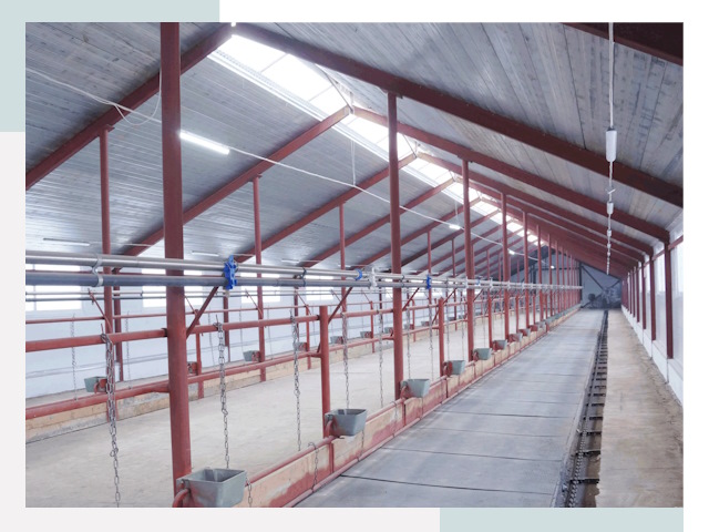 Строительство коровников в Кирово-чепецке от 652 руб.