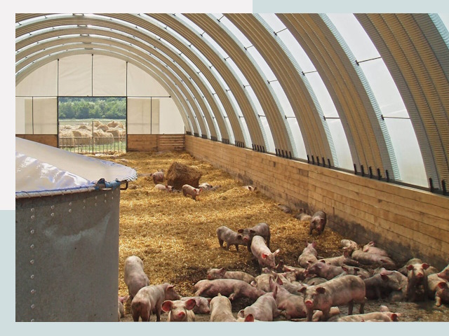 Строительство свинарников в Кирово-чепецке