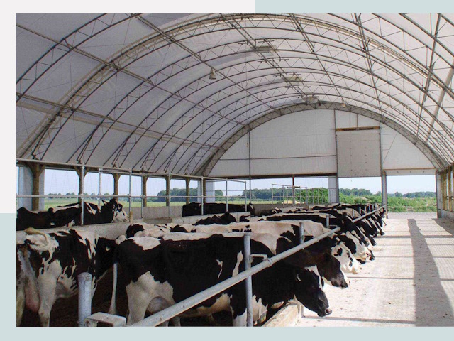 Тентовые коровники в Кирово-чепецке